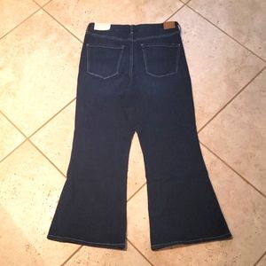 American Eagle Flare Jeans 18 Petite Short